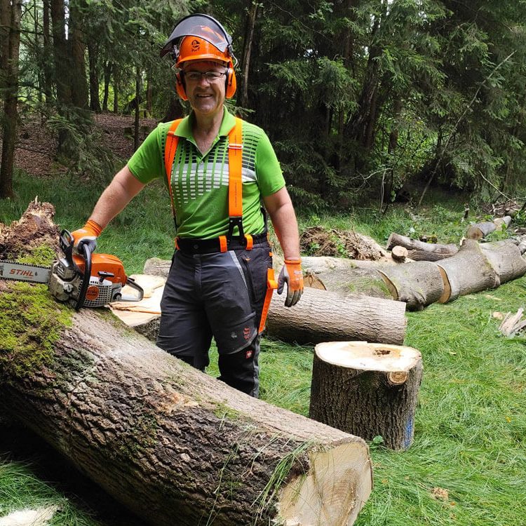 Beim Holz machen im Wald